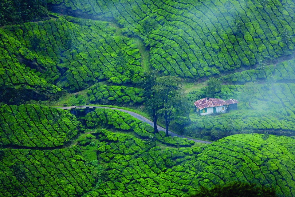 Kumarakom