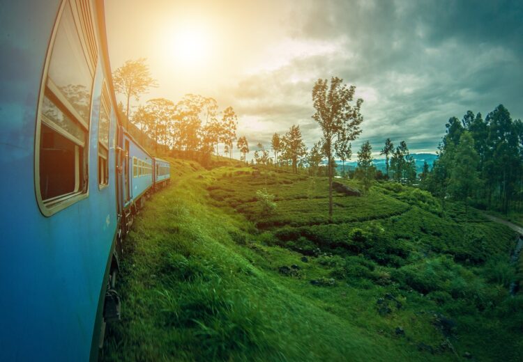 Heritage Palace on Wheels Golden Triangle Tour